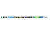 PENCILS FIRST GRADERS ARE NO 1 12PK