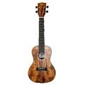 Kala KA-GAC Concert Size Ukulele w/Solid Acacia Top On Sale