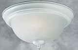 20004-02-03 Forte Lighting