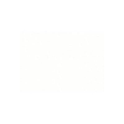 Sensational Q Stucco Grill Stucco Finish: White, Tile Type: Cliff Pointe Mountain, Fuel Type: Liquid Propane