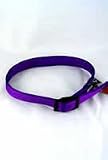Four Paws Double Nylon Collar 22 inch Purple - B0002ASTQU