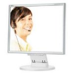 217972: NEC Displays MultiSync LCD175M 17 inch TFT LCD Monitor 1000:1 250 cd/m? 1280 x 1024 5ms D-SUB/DVI-D (Silver/White) (60002794)