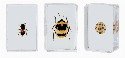 Ant Small Paperweight TE1