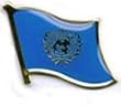 United Nations - Lapel Pins