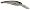 Threadfin Shad