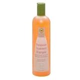 Therapeutic Treatment Shampoo - 12 oz., (Desert Essence)