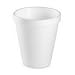 Dart Container