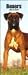   - Boxers 2008 Slimline Wall Calendar - Dog Calendars