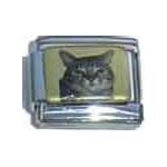 cat picture charm