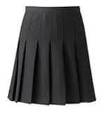 School Uniform Girls Knife Pleat Skirt