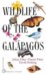 wildlife of the galapagos  princeton ill