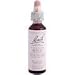Nelson Bach USA - Beech, 20 Milliliter liquid