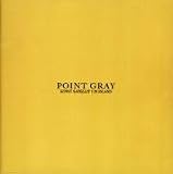 Point Gray: Kunst Sataellit 7 in Island