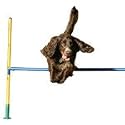 Clix Dog Agility Hurdle Jump