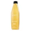 Redken Blonde Glam Shampoo 10oz