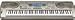 Musical Instruments : Casio WK-3300 76 Key MIDI Portable Keyboard