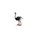 Schleich Ostrich 14325