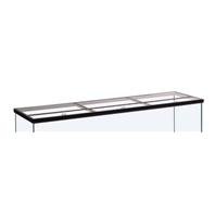 Glass Canopy, 24" x 12"