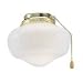 Boston Harbor CF9SLK-PB Polished Brass Schoolhouse Globe Ceiling Fan Fixture/CF9SLK-PB