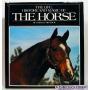 The Life, History, and Magic of the Horse