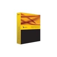 Backup Exec Sbs Standard 12.5 Win Bndl Bus Pk Basic