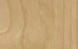 WHITE BIRCH Rotary Cut Veneer 2'X8' [CAPITOL CITY LUMBER]