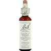 Bach Essence Holly 20 Milliliters