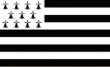 Drapeau Pays - Breton - 150x90 cms