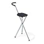 Folding Cane Seat