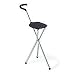 Folding Cane with plastic seat Made in USA