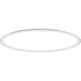 19-Inch Energy Star Qualified Flushmount Ceiling Fixture