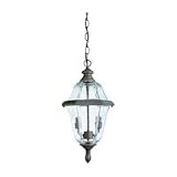 60180-08 - SeaGull Lighting Two-Light Covington Pendant