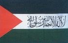 Palestine w/writing Flag Polyester 3 ft. x 5 ft.