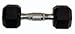 Rubber Coated Dumbell – 25lb