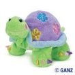 Webkinz Daisy Tortoise by Ganz