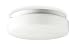 LumaPro 2ZE32 Ceiling Fixture, 26W, Compact Fluorescent