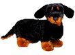 Webkinz Dachshund