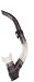 GENESIS SURF SNORKEL Scuba Dive Diving Snorkeling Gear