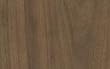 WALNUT Plain Sliced Veneer 2'x4' [CAPITOL CITY LUMBER]
