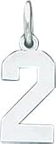 Sterling Silver Small Number 2 Charm