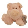 Webkinz Pig with Trading Cards