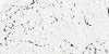 large image
