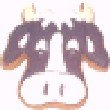 Cow Face