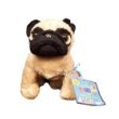 Webkinz Lil’ Pug with Trading Cards