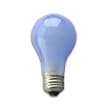 60 Watt Full Spectrum Light Bulb / Frosted / A19 Shape (Standard Light Bulb) / True Daylight--Full Spectrum Light Bulb / Long Life Incandescent
