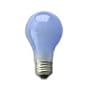 Full Spectrum 60 Watt Neodymium A19 Light Bulb, Frosted
