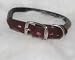 Hamilton Leather Rolled Leather Collar Burgundy 1 X22 - LM4 22BU
