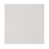 12x12 Ceil Tile