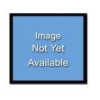 Iowa Hawkeyes Fight Song 2009 Wall Calendar