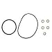 ARG Series Service Kits Strainer Repair Kit